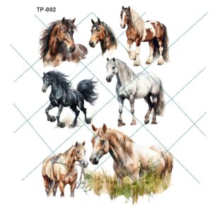 Transfer color - 20x25cms TP-002