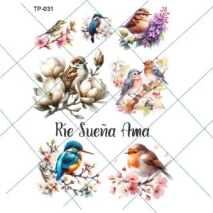 Transfer color - 20x25cms TP-031
