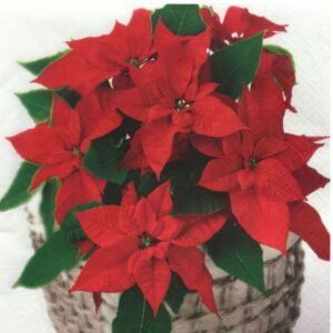 Servilleta para Decoupage Nro N038