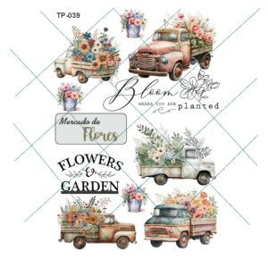 Transfer color - 20x25cms TP-039
