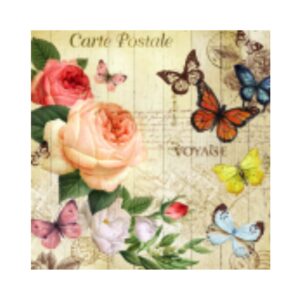 Lámina para decoupage 31,5cms x 31,5cms 04-428