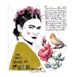 Transfer color - 30x33cms Estampa Felicce 1017