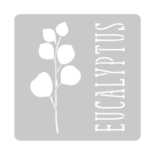 Stencil EQarte reutilizable 30 x 30cms 1037 Eucaliptus