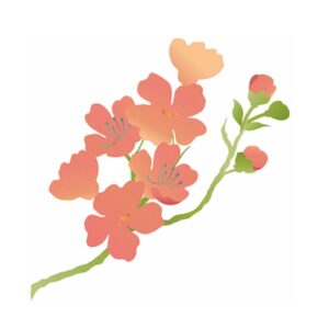 Stencil Litoarte reutilizable 21 x 34 cms ST-113 Flores Superposicion