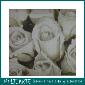 20 Servilletas para Decoupage Nro 001