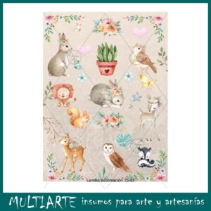 Lámina para sublimacion A4 LS-63 kraft