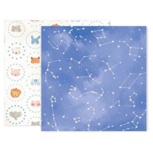 Papel para scrapbook doble faz Pink Paislee - Little Adventurer 310739