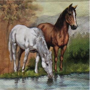 Servilleta para Decoupage Nro 488