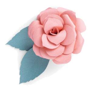 Cortante Thinlits Sizzix - Courtyard Bloom 2 piezas 664586