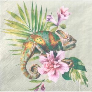 Servilleta para Decoupage Nro 704
