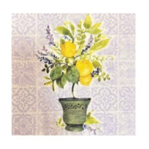 Servilleta para Decoupage Nro 715