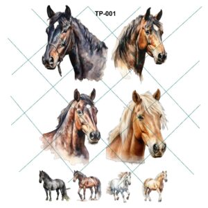 Transfer color - 20x25cms TP-001