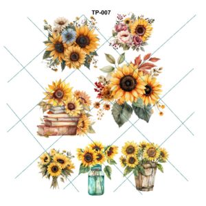 Transfer color - 20x25cms TP-007