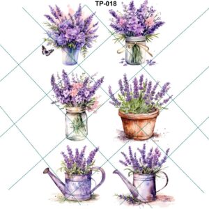 Transfer color - 20x25cms TP-018