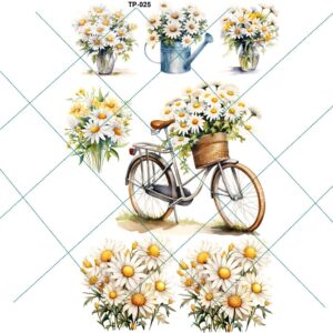 Transfer color - 20x25cms TP-025