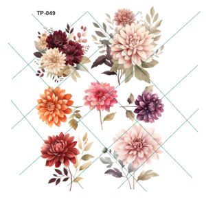 Transfer color - 20x25cms TP-049