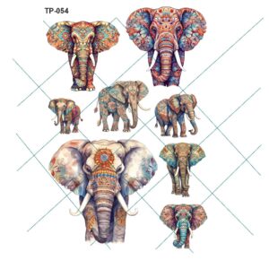 Transfer color - 20x25cms TP-054