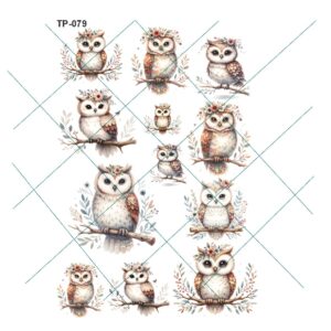 Transfer color - 20x25cms TP-079