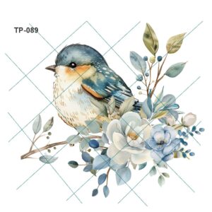 Transfer color - 20x25cms TP-089