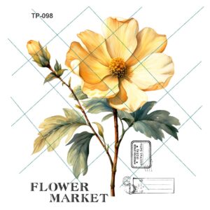 Transfer color - 20x25cms TP-098