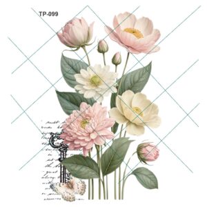Transfer color - 20x25cms TP-099