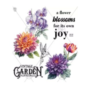 Transfer color Premium 30x35cms TP-3501