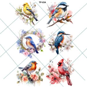 Transfer color - 20x25cms TP-034