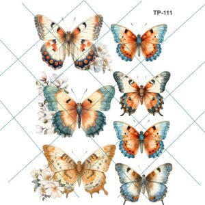 Transfer color - 20x25cms TP-111