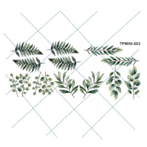 Transfer color - 10x20cms TPMINI-003