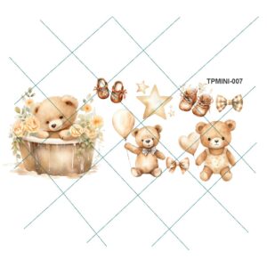 Transfer color - 10x20cms TPMINI-007