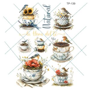 Transfer color - 20x25cms TP-139