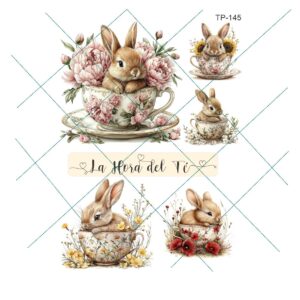 Transfer color - 20x25cms TP-145