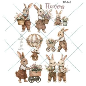 Transfer color - 20x25cms TP-146