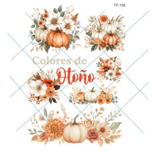 Transfer color - 20x25cms TP-156