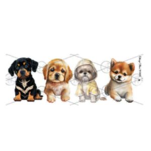 Transfer color Premium 7x20cms TP-3459