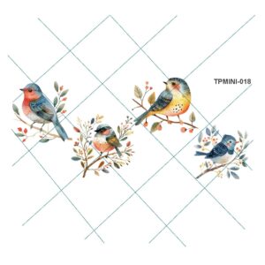 Transfer color - 10x20cms TPMINI-018
