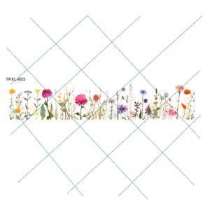 Transfer color - 10x40cms TPXL-003