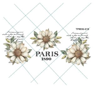 Transfer color - 10x20cms TPMINI-019