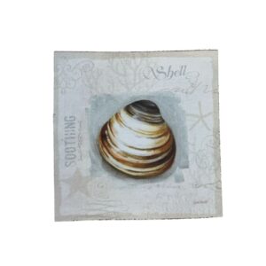 Lamina Adhesiva en Color 7x7cms Caracol