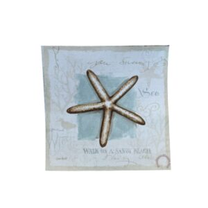 Lamina Adhesiva en Color 15x15cms Estrella de mar