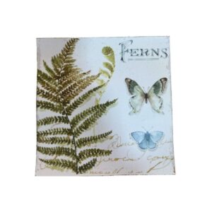 Lamina Adhesiva en Color 10x10cms Mariposas