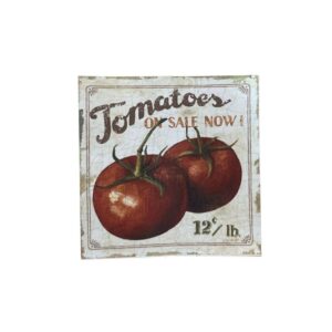 Lamina Adhesiva en Color 15x15cms Tomates