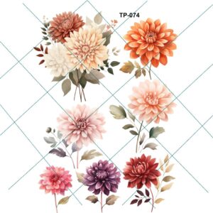Transfer color - 20x25cms TP-074.01