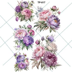 Transfer color - 20x25cms TP-017.01