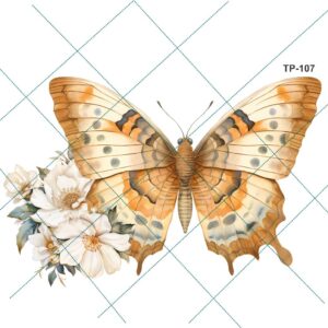 Transfer color - 20x25cms TP-107.01