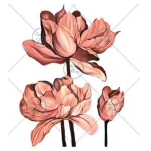 Transfer color - 30x33cms Estampa Felicce GG-09