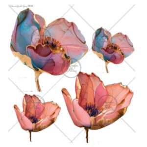 Transfer color - 30x33cms Estampa Felicce GG-12