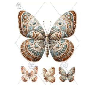 Transfer color - 12x20cms Estampa Felicce 171