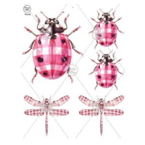 Transfer color - 12x20cms Estampa Felicce 197