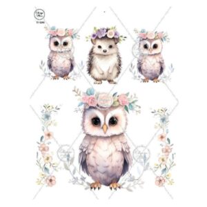 Transfer color - 12x20cms Estampa Felicce 200